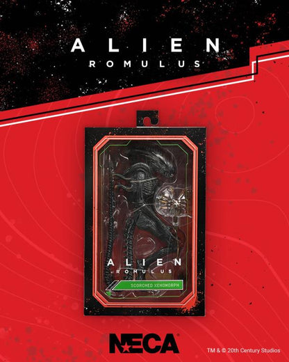 NECA Alien Romulus Ultimate Scorched Alien Xenomorph 9-Inch Plastic Figure - View 9