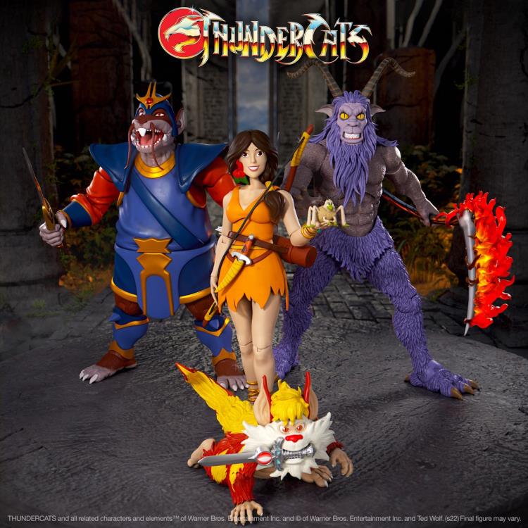 Super7 ThunderCats Ultimates! Willa Cartoon Series Action Figure - View 7