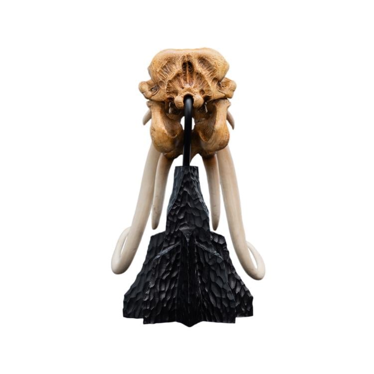 Weta Workshop The Lord of the Rings Skull of a Mumak Miniature Skull Replica (5.8-Inch) - View 8
