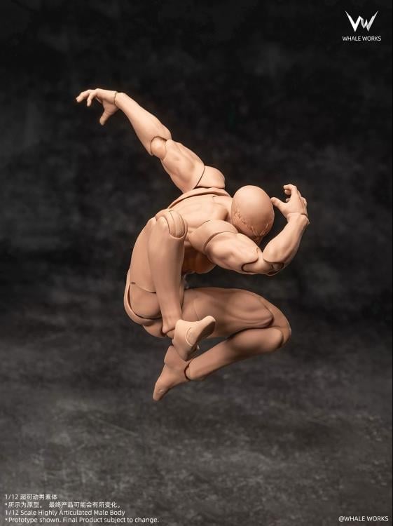 Whale Works Male (Ver. B) 1/12 Scale Plastic Blank Body - View 4