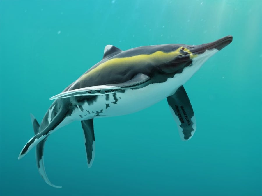 PNSO Prehistoric Art Models Youran the Guizhouichthyosaurus 8.07-Inch PVC Figure - View 2