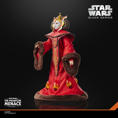 Hasbro Star Wars: Black Series Queen Amidala The Phantom Menace Plastic Action Figure - View 4