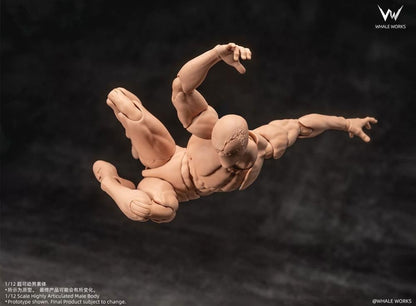 Whale Works Male (Ver. B) 1/12 Scale Plastic Blank Body - View 5