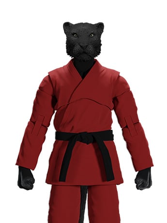 Icon Heroes Zoo Jitsu Fighters Paulo the Panther Red Gi Action Figure