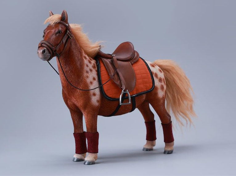 JxK.Studio Little Shetland Pony with Bangs Brown Ver. Resin Figure (7.4-Inch) - View 4