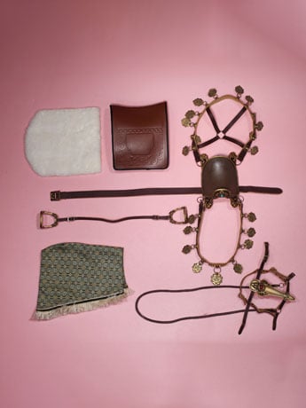 DING TOYS MR.Z Water Margin The Emerald Serpent Hu Sanniang Classic Harness Configuration 1/6 Scale Accessory Set