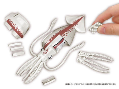 MegaHouse Kaitai Giant Squid Plastic Anatomy Puzzle Model Kit - View 3