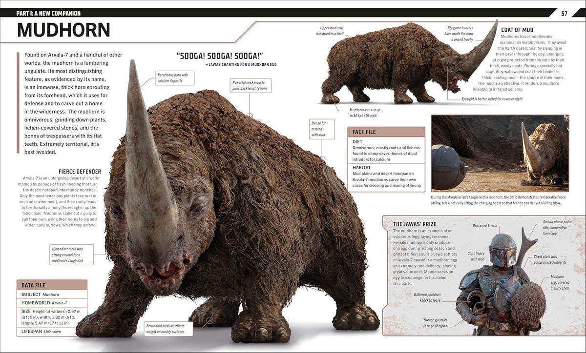 DK Publishing Star Wars: The Mandalorian Visual Guide with Grogu, Razor Crest, Moff Gideon, Fennec Shand - View 3