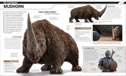 DK Publishing Star Wars: The Mandalorian Visual Guide with Grogu, Razor Crest, Moff Gideon, Fennec Shand - View 3