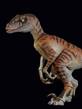 Nanmu Studio Zero-Set Easy Motion Raptor 2.5+ Tiger Blade 14-Inch PVC Action Figure