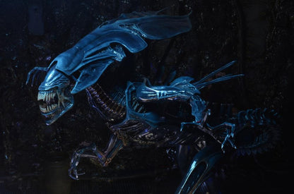 NECA Aliens Xenomorph Queen Ultra Deluxe 15-Inch Action Figure with 30 Articulation Points - View 9