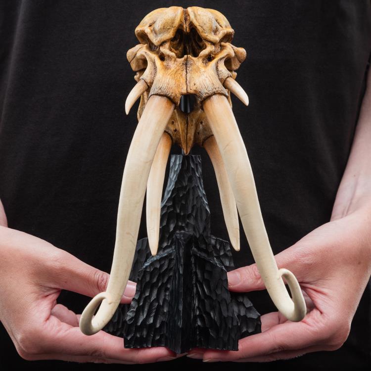 Weta Workshop The Lord of the Rings Skull of a Mumak Miniature Skull Replica (5.8-Inch) - View 15