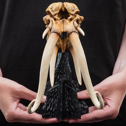 Weta Workshop The Lord of the Rings Skull of a Mumak Miniature Skull Replica (5.8-Inch) - View 15