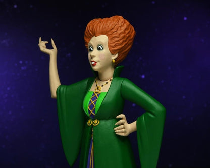 NECA Disney Hocus Pocus Toony Terrors Sanderson Sisters 3-Pack Plastic Figures - View 9
