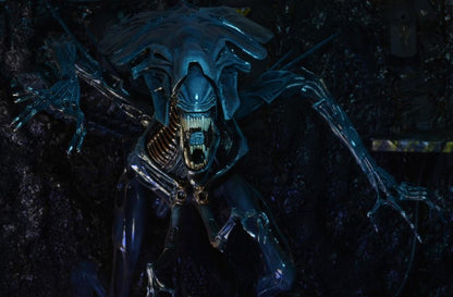 NECA Aliens Xenomorph Queen Ultra Deluxe 15-Inch Action Figure with 30 Articulation Points - View 5