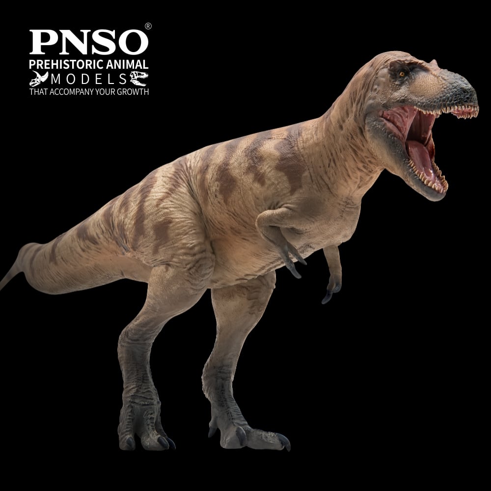 PNSO Prehistoric Animal Models Cole the Daspletosaurus 10.23-Inch PVC Figure - View 3