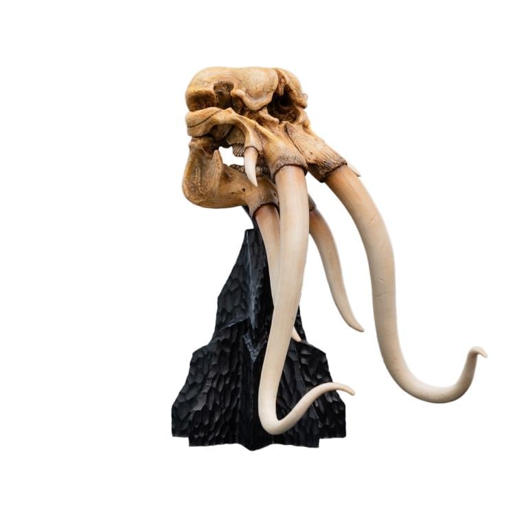 Weta Workshop The Lord of the Rings Skull of a Mumak Miniature Skull Replica (5.8-Inch) - View 5