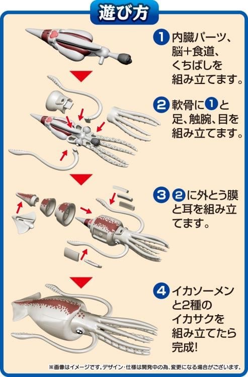 MegaHouse Kaitai Giant Squid Plastic Anatomy Puzzle Model Kit - View 6