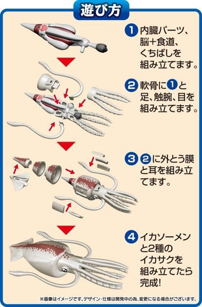 MegaHouse Kaitai Giant Squid Plastic Anatomy Puzzle Model Kit - View 6