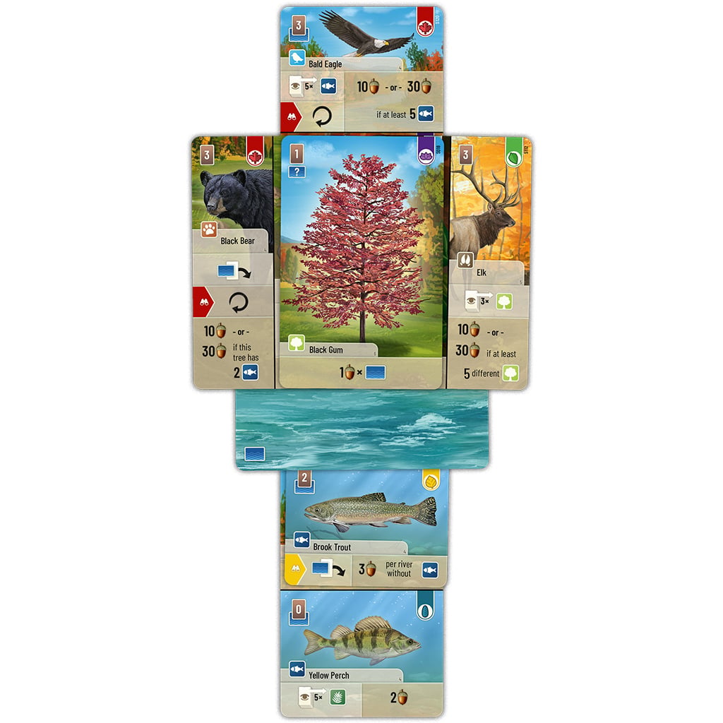 Lookout Games Forest Shuffle Smoky Mountains Tabletop Card Game - View 5
