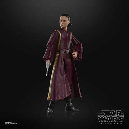 Hasbro Star Wars 25th Anniversary The Black Series 6-Inch Padme Amidala The Phantom Menace Action Figure - View 3