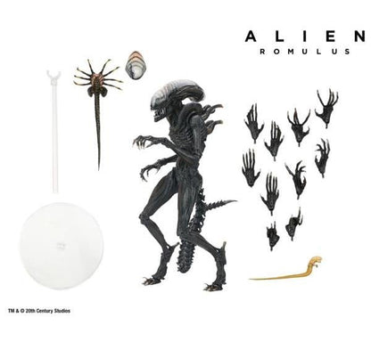NECA Alien Romulus Ultimate Scorched Alien Xenomorph 9-Inch Plastic Figure - View 10