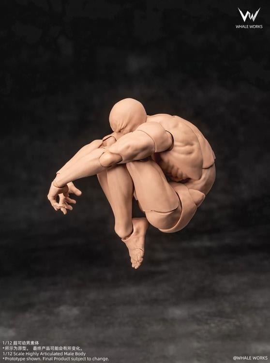 Whale Works Male (Ver. B) 1/12 Scale Plastic Blank Body - View 6
