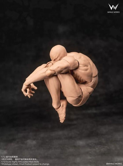 Whale Works Male (Ver. B) 1/12 Scale Plastic Blank Body - View 6