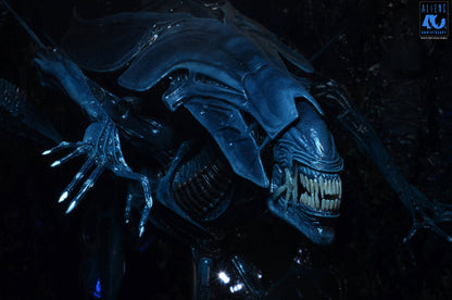 NECA Aliens 40th Anniversary Alien Queen Deluxe Action Figure with 30 Points of Articulation - View 3