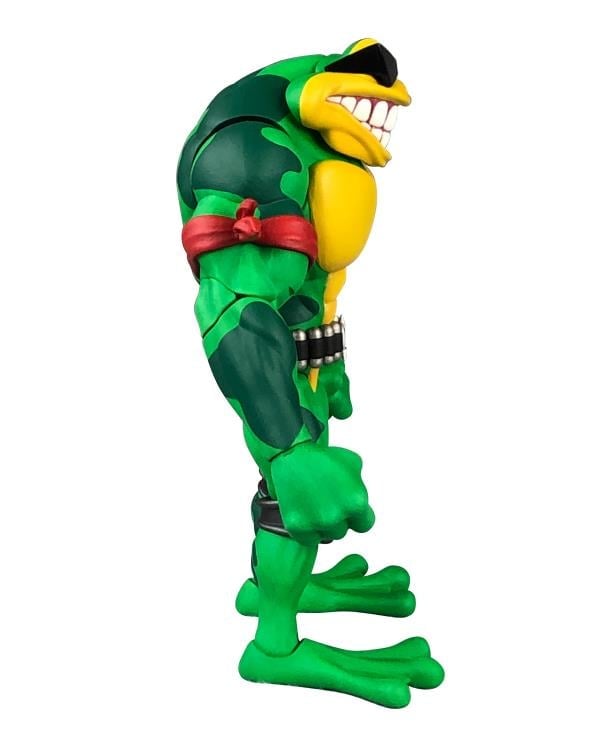Premium DNA Battletoads Rash Collectible Plastic Figure - View 4