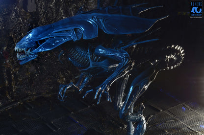 NECA Aliens 40th Anniversary Alien Queen Deluxe Action Figure with 30 Points of Articulation - View 10