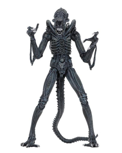 NECA Aliens Ultimate Warrior Blue 9-Inch Action Figure with 30 Articulation Points - View 5