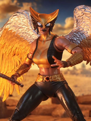 McFarlane Toys DC Multiverse Collector Edition Hawkgirl (Kendra Saunders) Action Figure