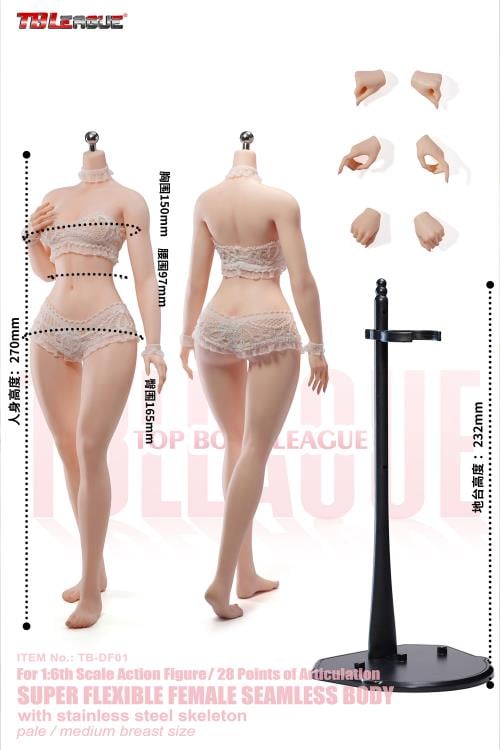 TBLeague Female Body (Pale Medium Bust) 1/6 Scale Action Figure (TB-DF01 Without Head Sculpt) - View 3