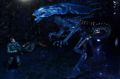 NECA Aliens Xenomorph Queen Ultra Deluxe 15-Inch Action Figure with 30 Articulation Points - View 12