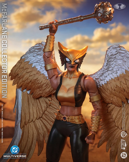 McFarlane Toys DC Multiverse Collector Edition Hawkgirl (Kendra Saunders) Action Figure - View 6