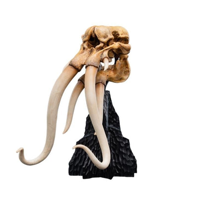 Weta Workshop The Lord of the Rings Skull of a Mumak Miniature Skull Replica (5.8-Inch) - View 11