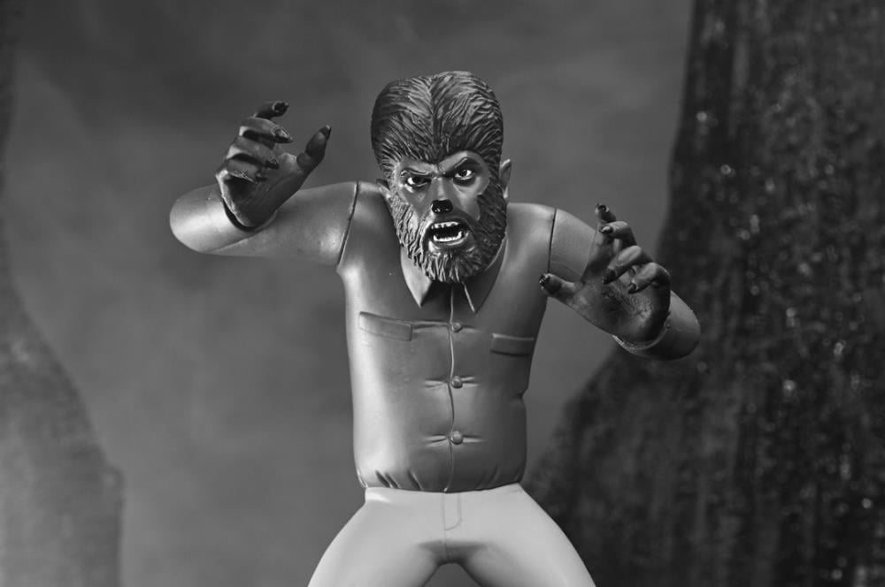 NECA Universal Monsters Toony Terrors Silver Screen Edition Set of 4 Figures - View 14