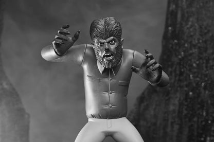 NECA Universal Monsters Toony Terrors Silver Screen Edition Set of 4 Figures - View 14