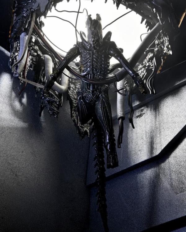 NECA Alien Romulus Suspended Lab Xenomorph XX121 Deluxe Plastic Action Figure - View 3