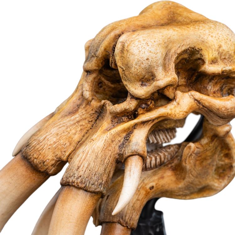 Weta Workshop The Lord of the Rings Skull of a Mumak Miniature Skull Replica (5.8-Inch) - View 14