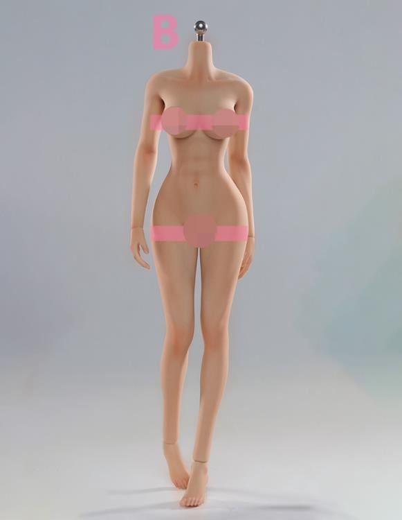 Very Cool Universal Female 1/6 Scale Medium Bust Body (VCD-01B Regular Complexion) - View 3