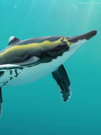 PNSO Prehistoric Art Models Youran the Guizhouichthyosaurus 8.07-Inch PVC Figure