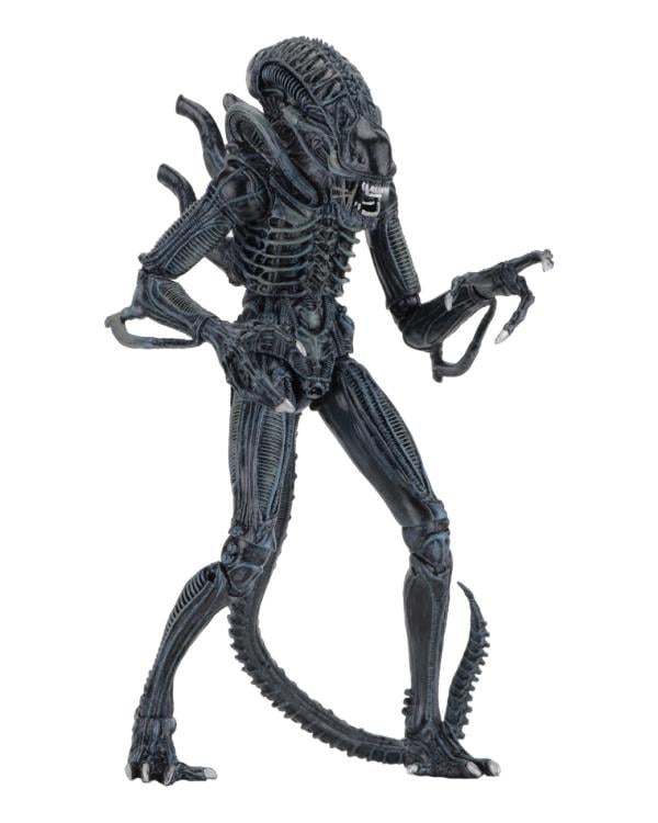 NECA Aliens Ultimate Warrior Blue 9-Inch Action Figure with 30 Articulation Points - View 7