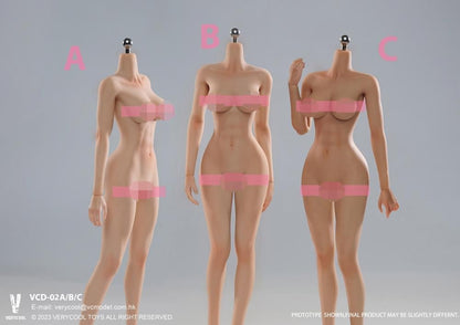 Very Cool Universal Female 1/6 Scale Medium Bust Body with Feet (VCD-02B Regular Complexion) - View 9