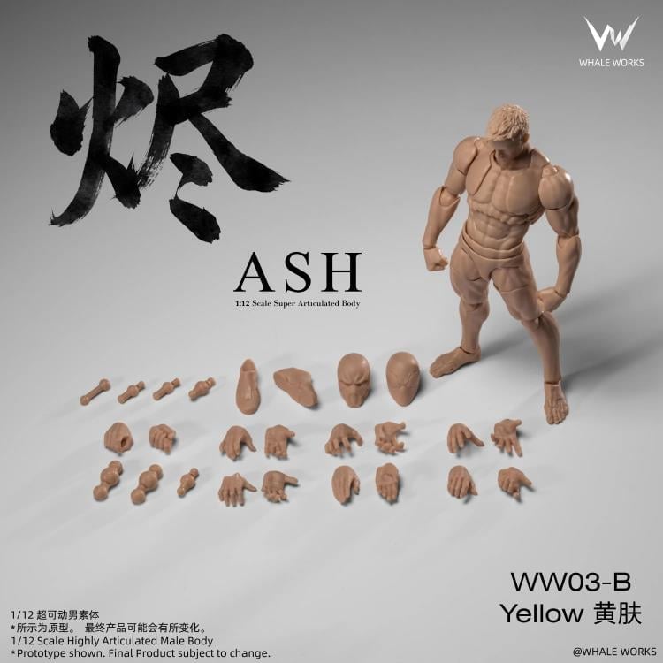 Whale Works Male (Ver. B) 1/12 Scale Plastic Blank Body - View 9