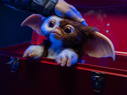 Trick or Treat Studios Gremlins 2: The New Batch Gizmo 1/1 Scale Prop Replica, 10-Inch - View 2