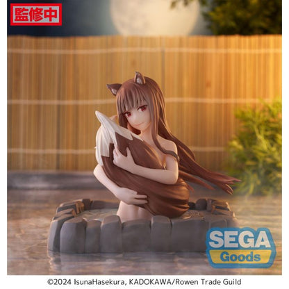Sega Spice and Wolf Thermae Utopia Holo 5-Inch Plastic Figure - View 3