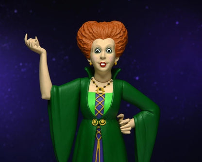 NECA Disney Hocus Pocus Toony Terrors Sanderson Sisters 3-Pack Plastic Figures - View 8