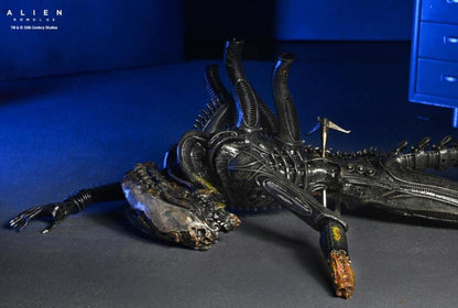 NECA Alien Romulus Suspended Lab Xenomorph XX121 Deluxe Plastic Action Figure - View 10